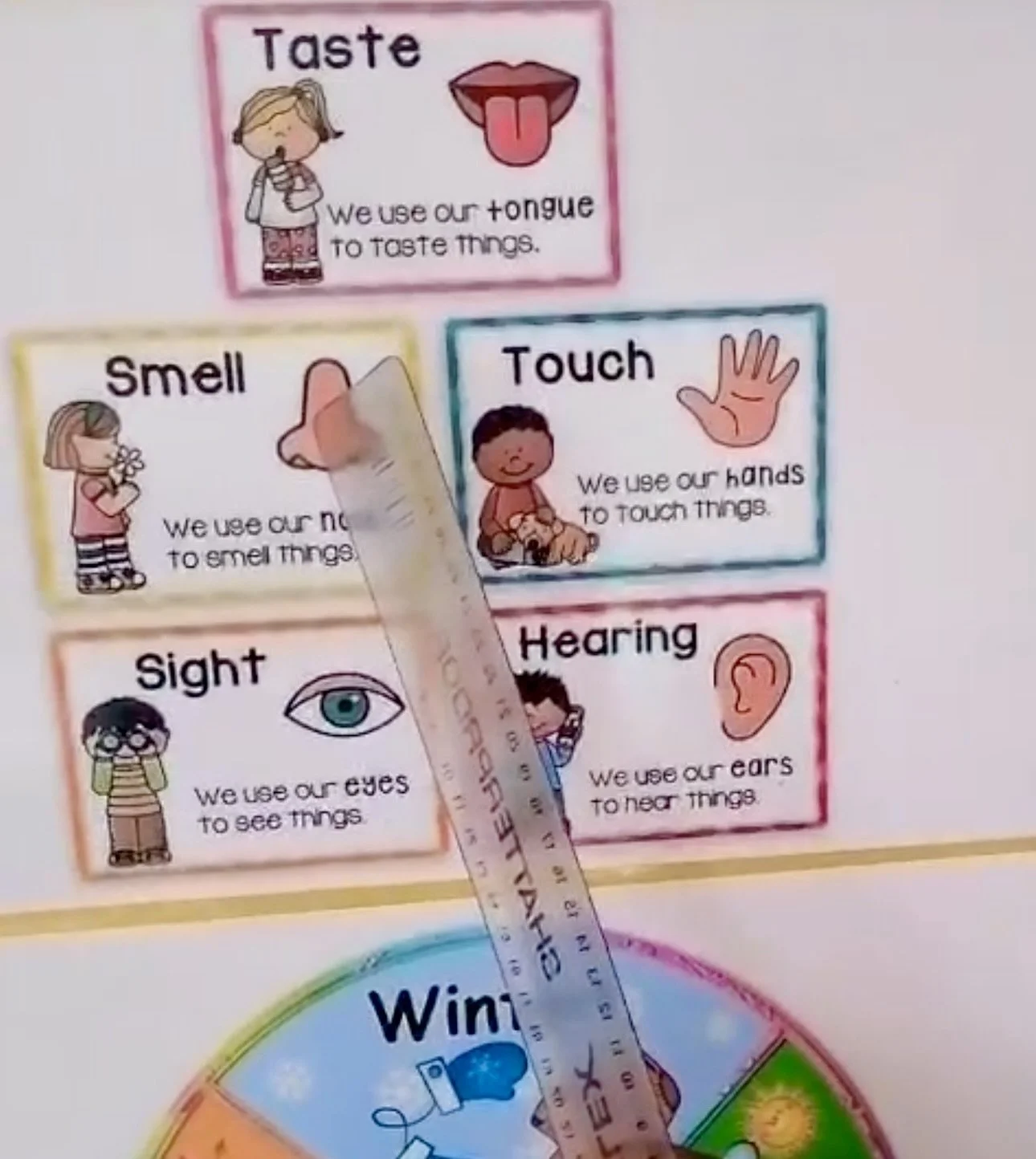 Helping Pre-Schoolers Understand Their Five Sense