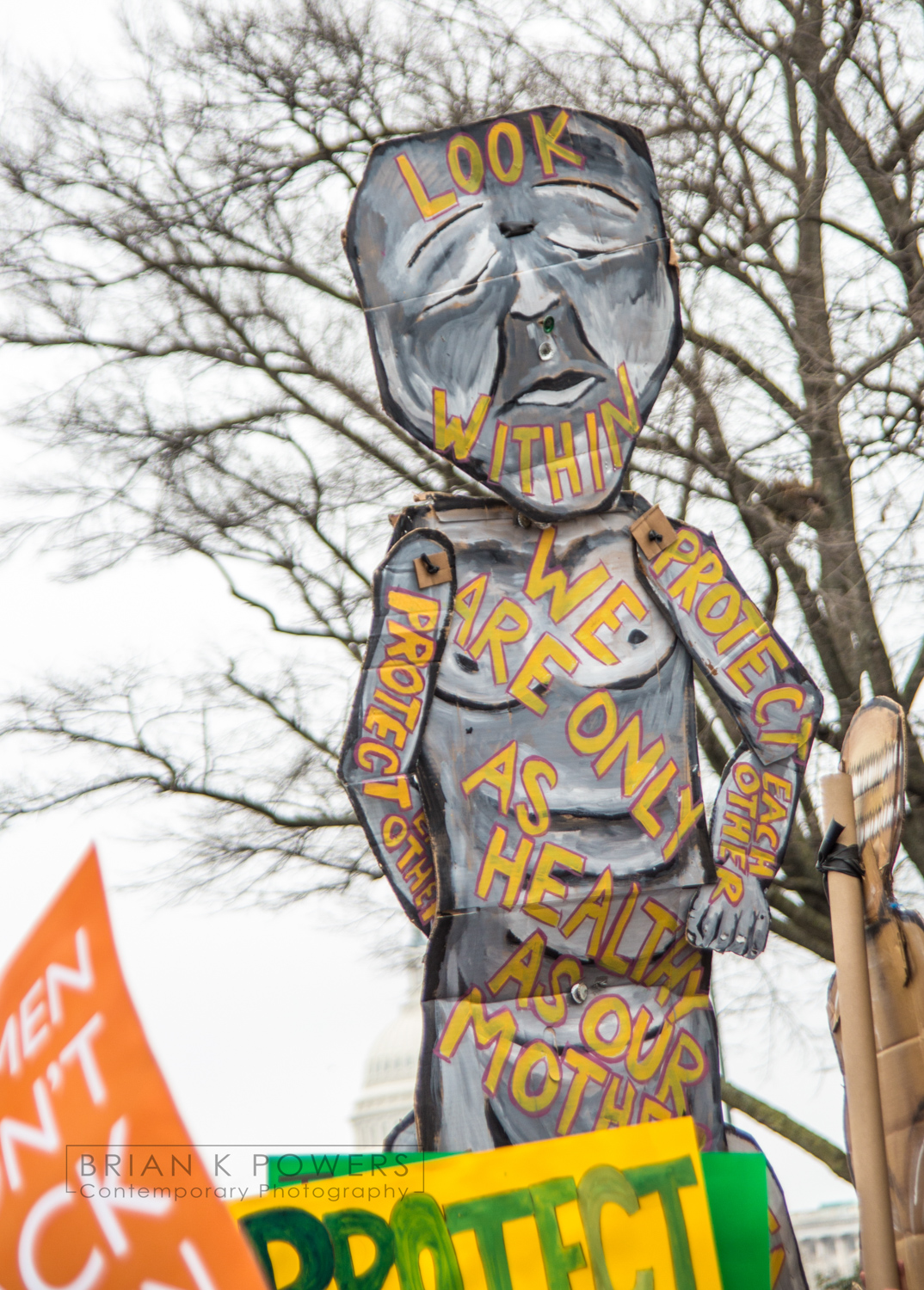 Womens-march-on-washington-2017-Brian-K-Powers-Photography-0141.jpg