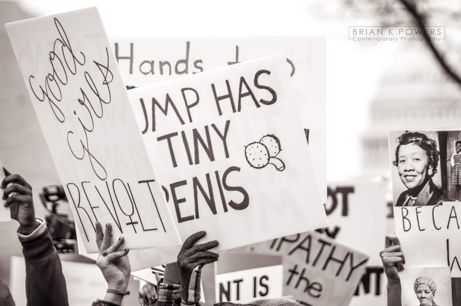 Womens-march-on-washington-2017-Brian-K-Powers-Photography-0154.jpg