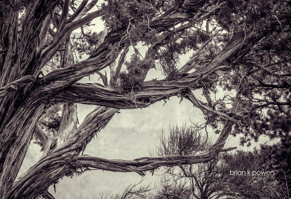 Brian_K_Powers_Photography_Travel _ Places_941.jpg