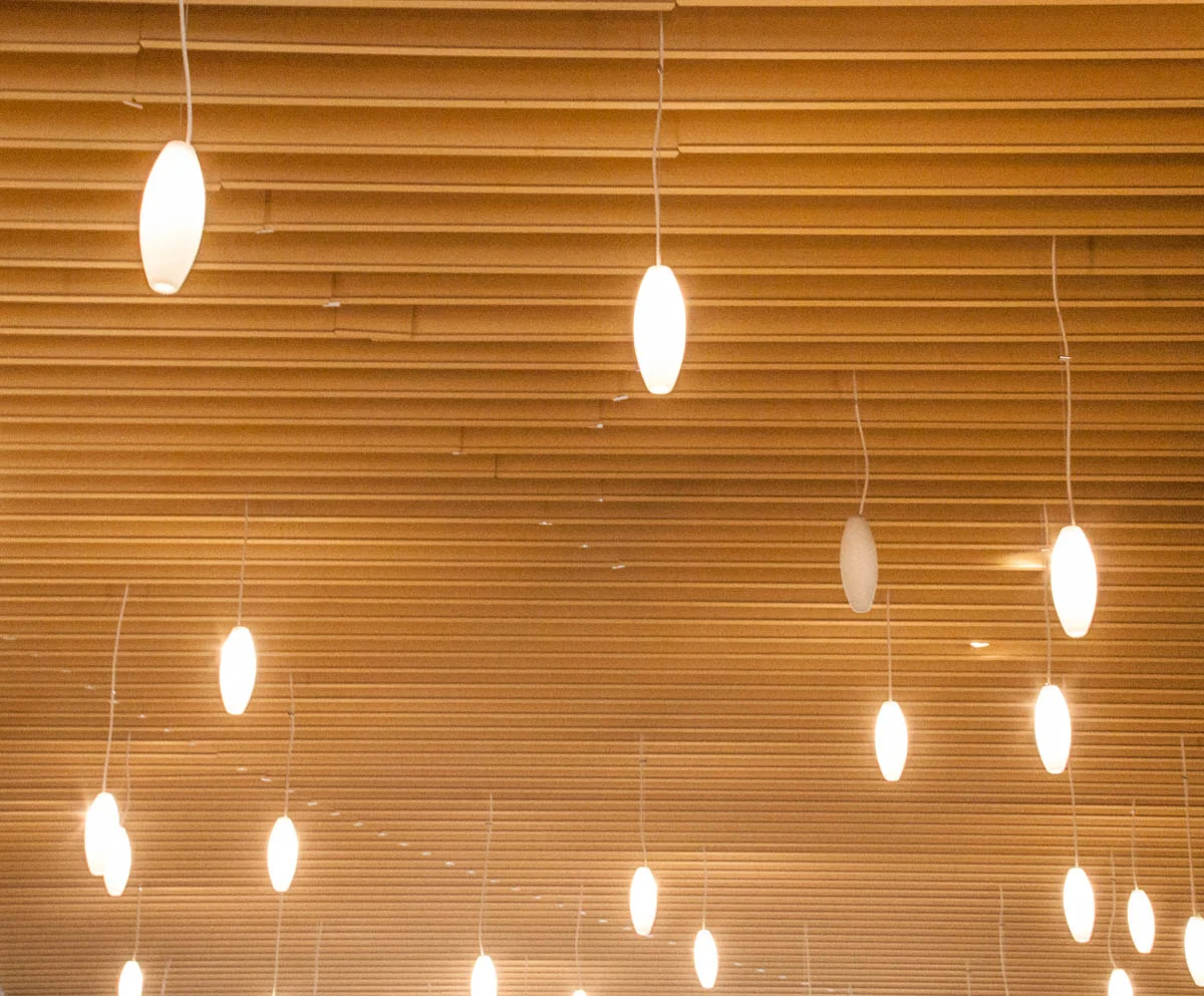 Brian_K_Powers_Photography_Patterns _ Details_044.jpg