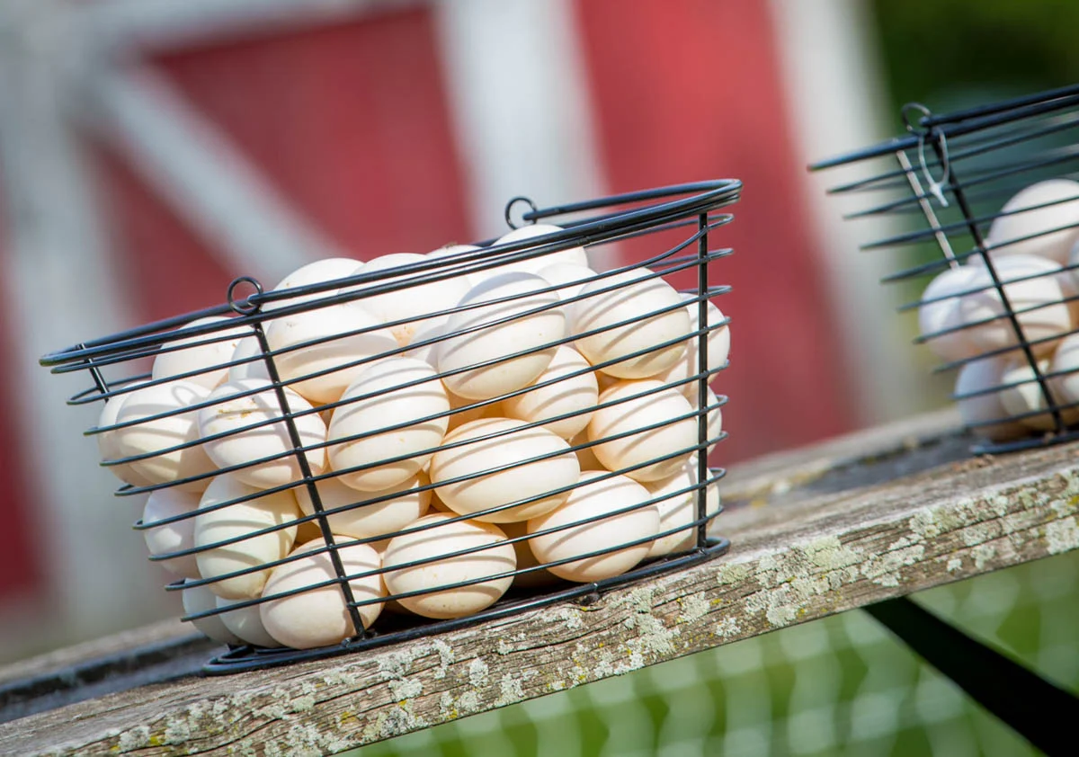 Brian_K_Powers_Photography_Things_364.jpg