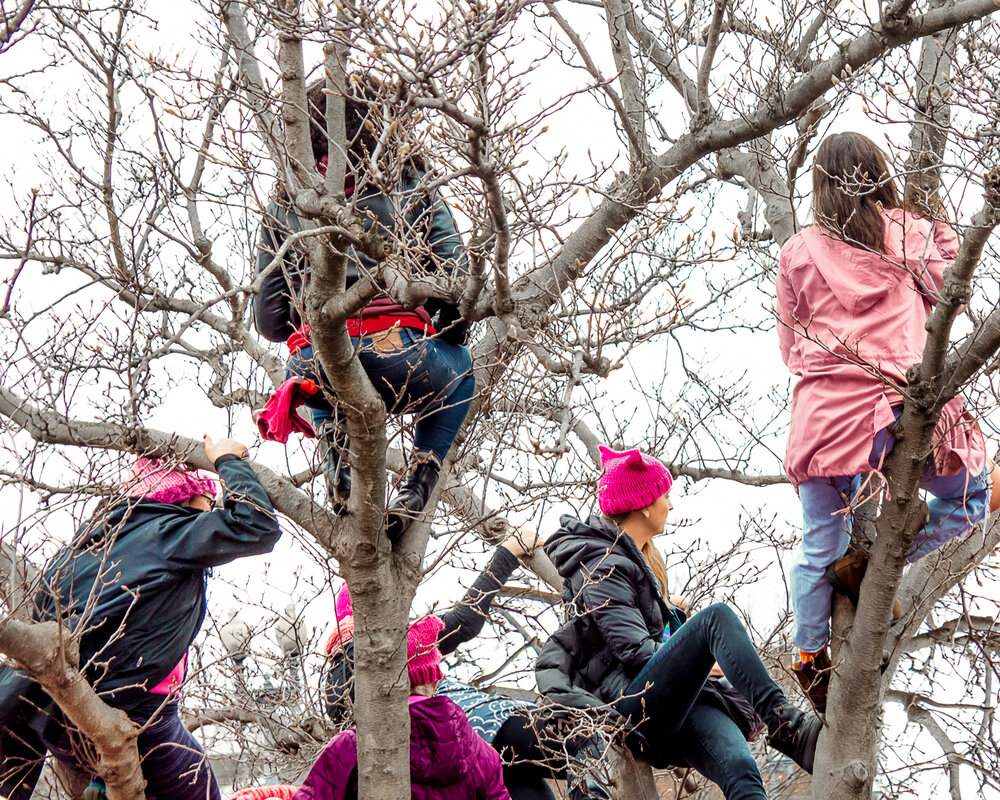 2017_01_21-Womens March on Washington_044 Brian K Powers Photography-01-2.jpg