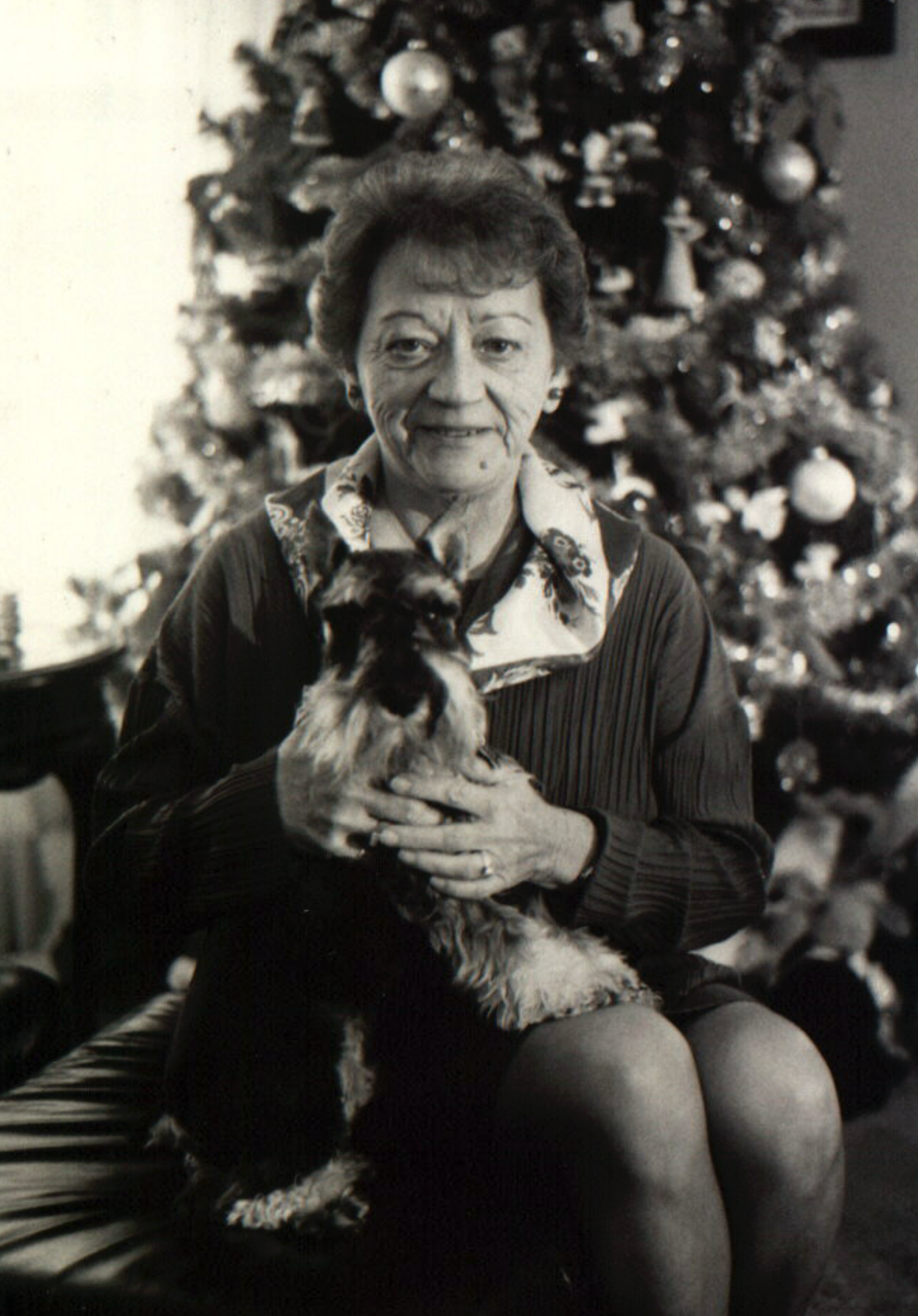 Screenshot 2025-12-26 at 10.12.58 AM.png