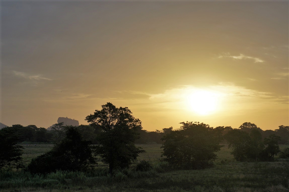 Sigiriya Sunrise