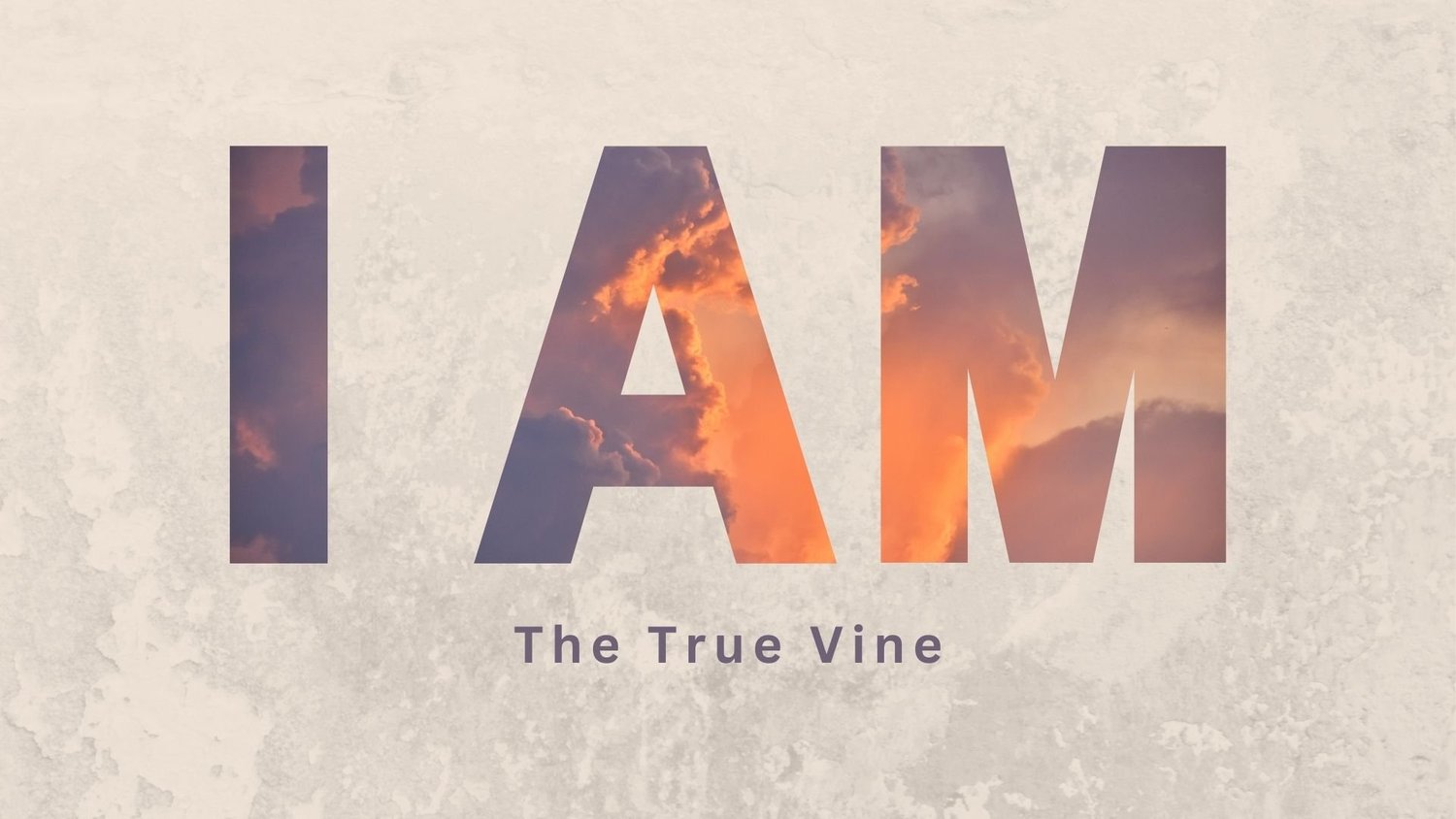 I Am the True Vine episode artwork