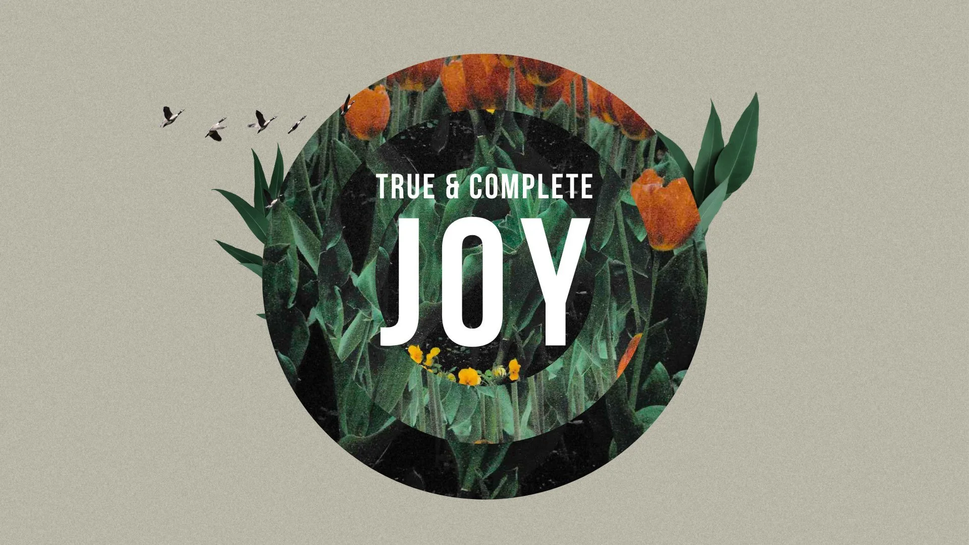 True & Complete Joy (2025)