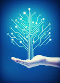 Wi-Fi Management