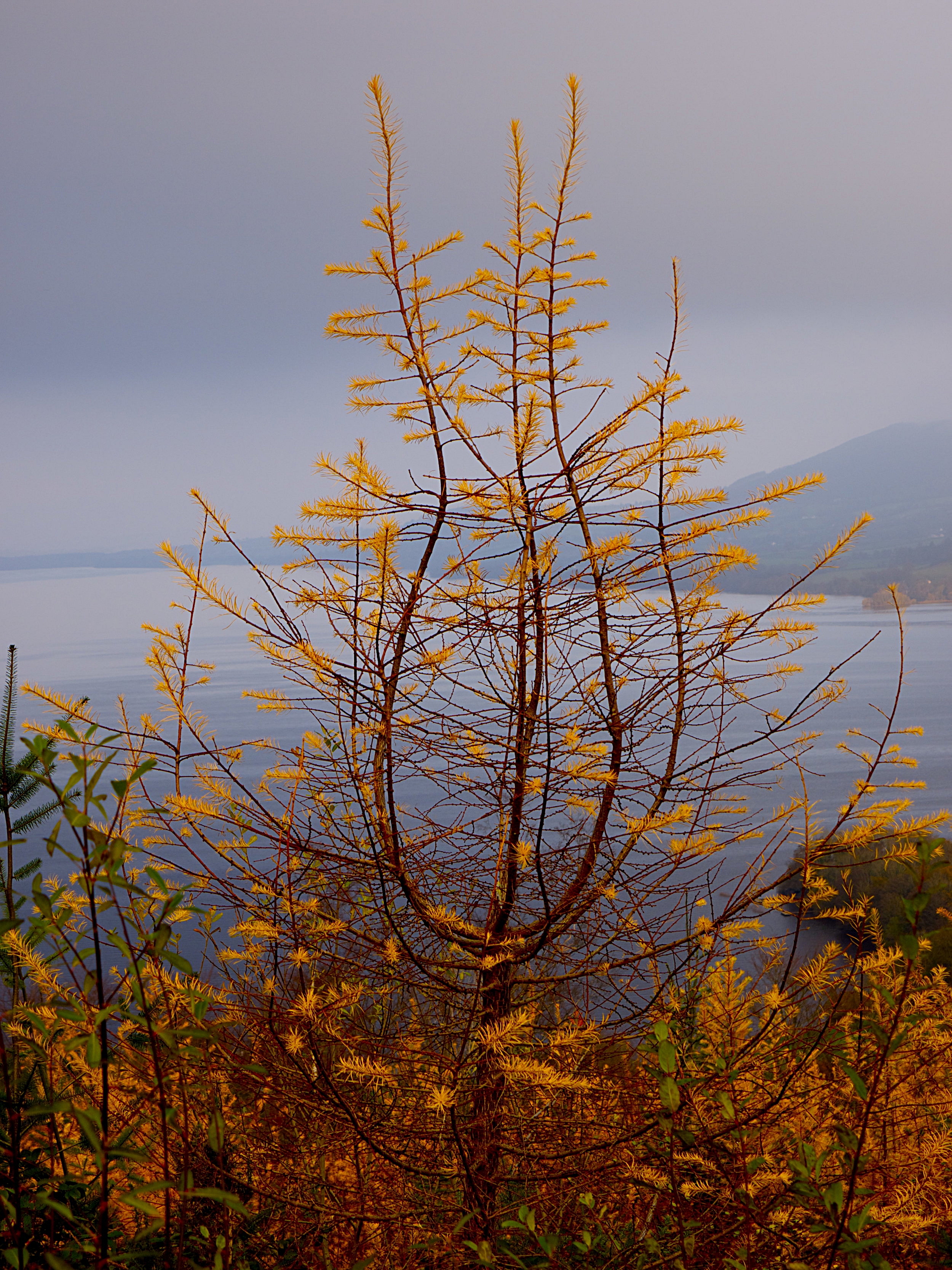 Lough Derg