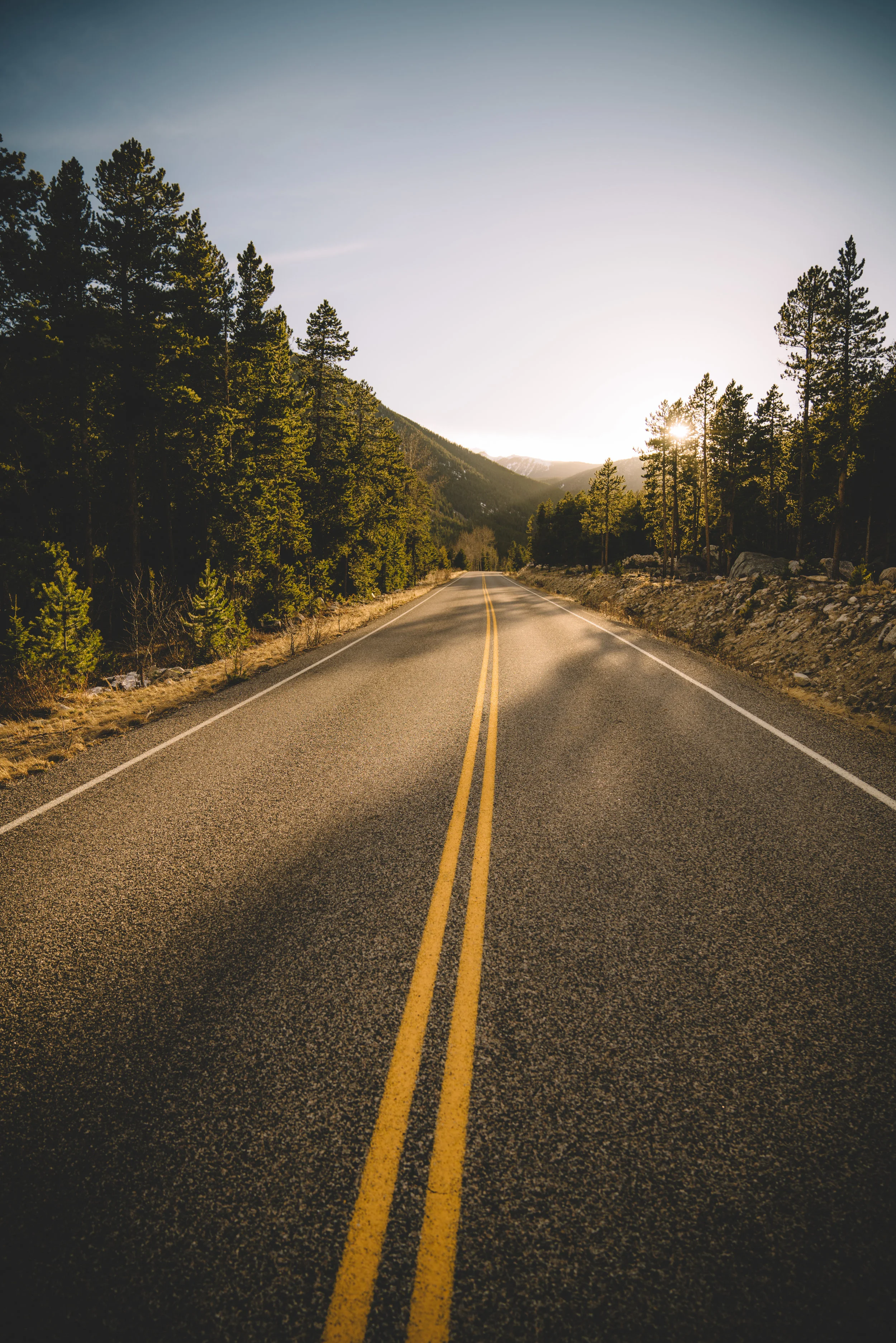 Not all roads lead to gold, but in Montana it certainly seems like it! West Fork Rd in Red Lodge, Mt.