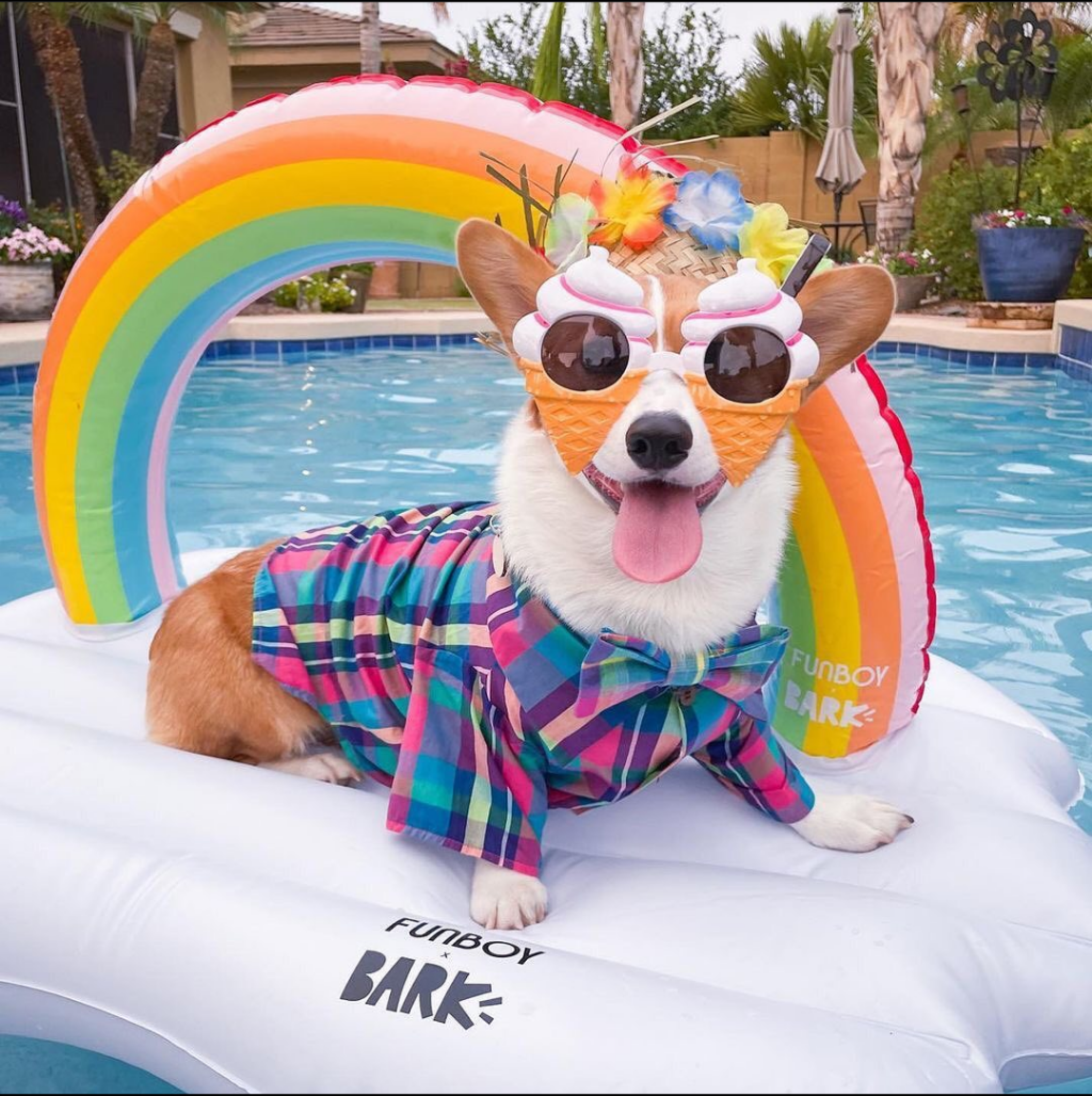 Happy Autistic Pride Day! 