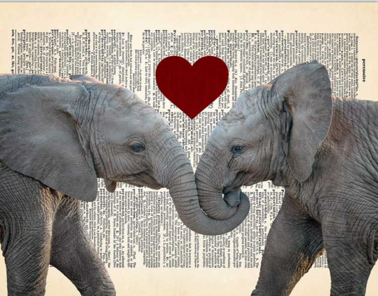 My teen or adult has already had "social skills," and still struggles! How is IRL different?