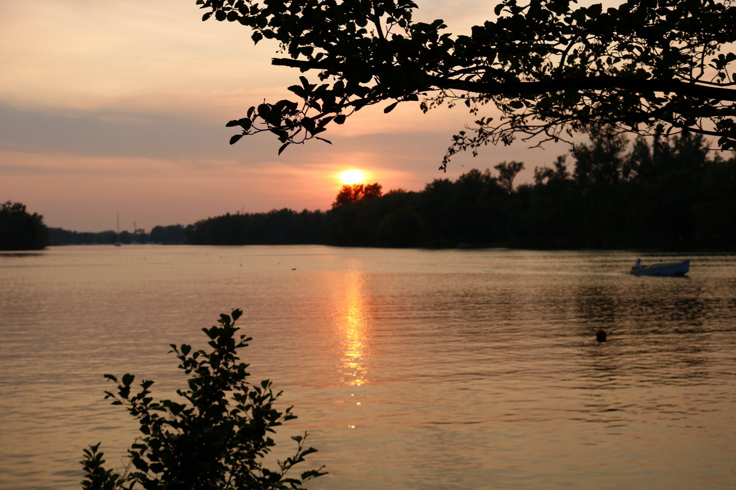 Image 7.JPG