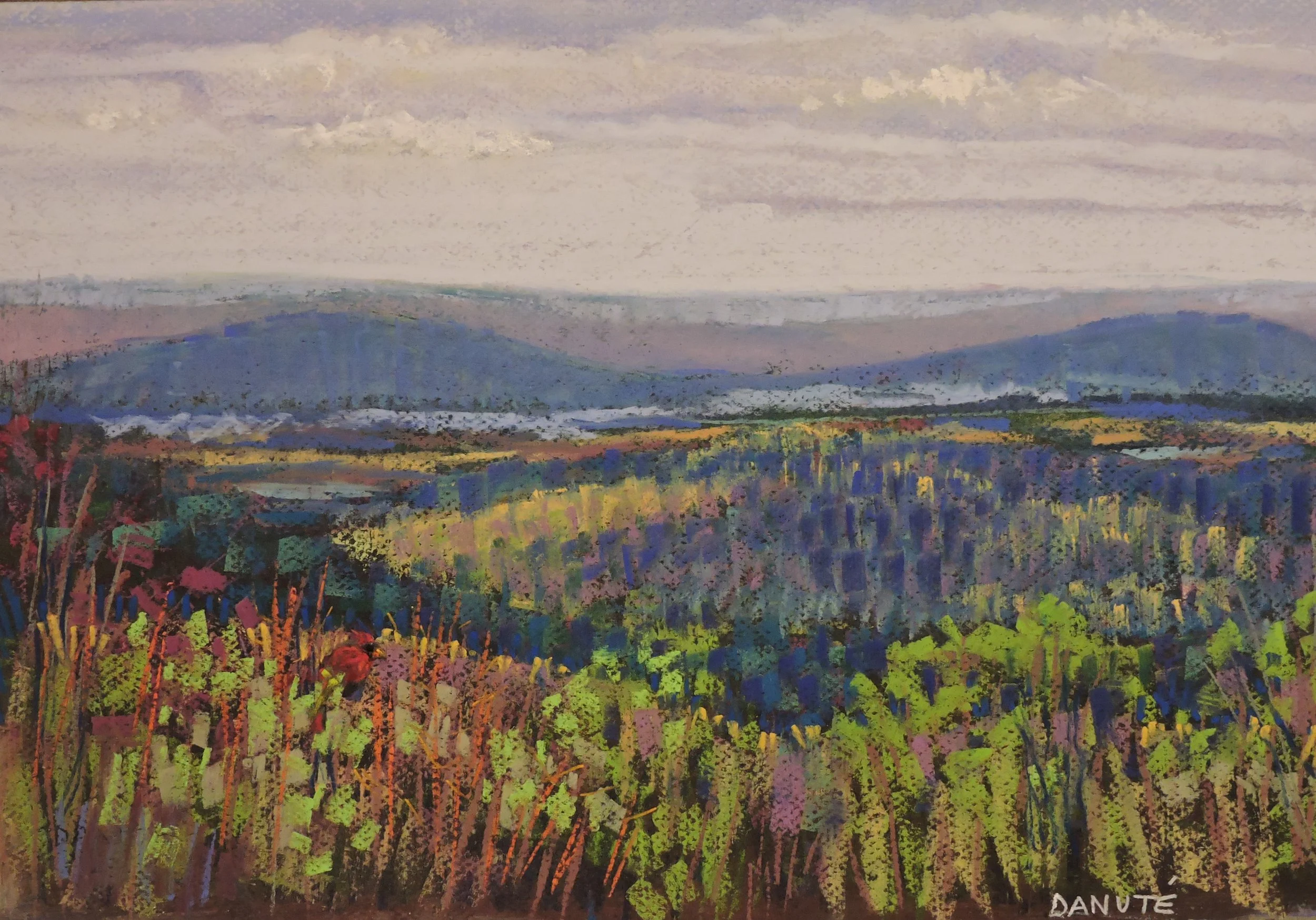 Signs of Spring March 2016.JPG