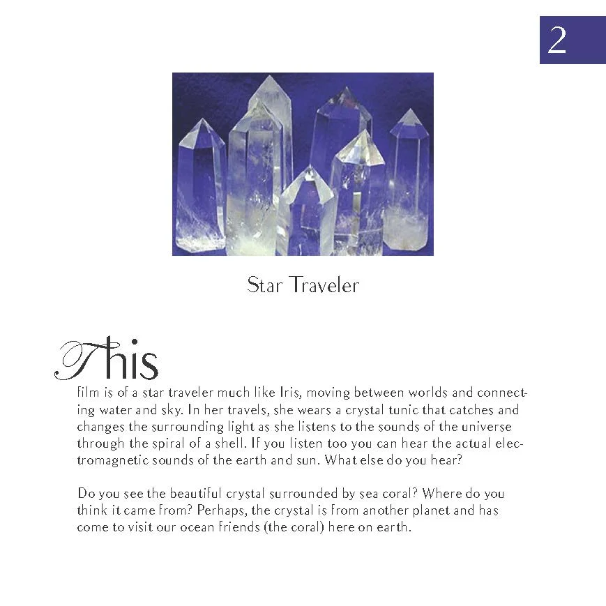 FinalStarTravelerFlipBook_Page_2.jpg