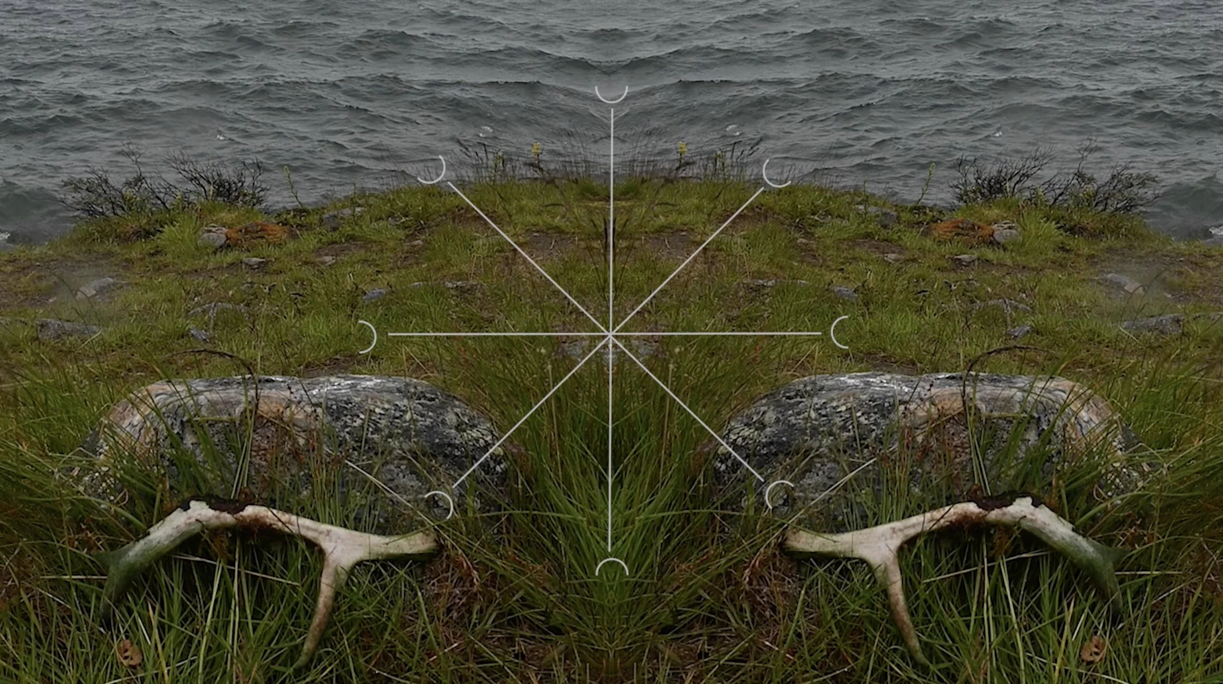 Faith Johnson symbol med res copy.jpg