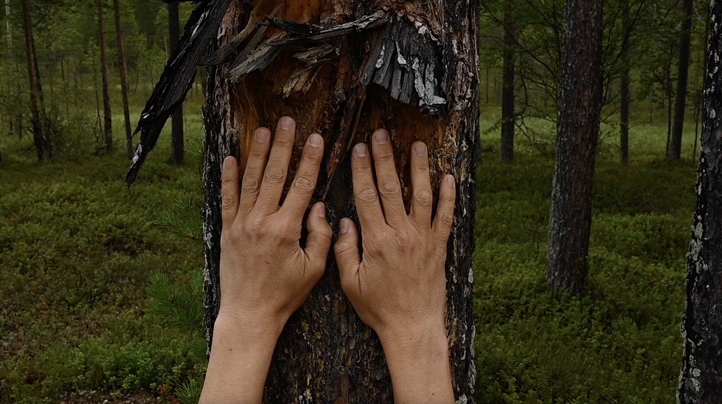 Faith Johnson4 med res.jpg