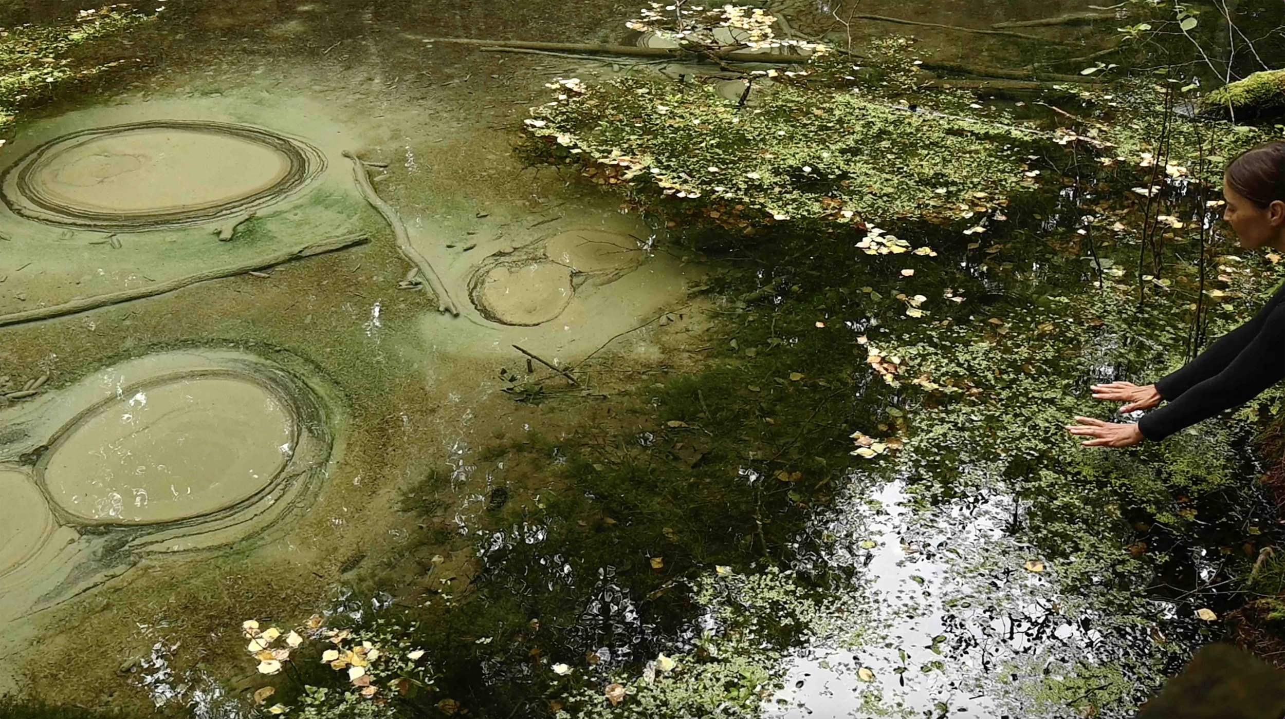 North 7 springs light web.jpeg