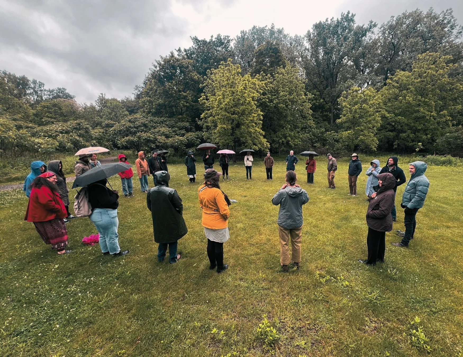 Guided Nature Meditation