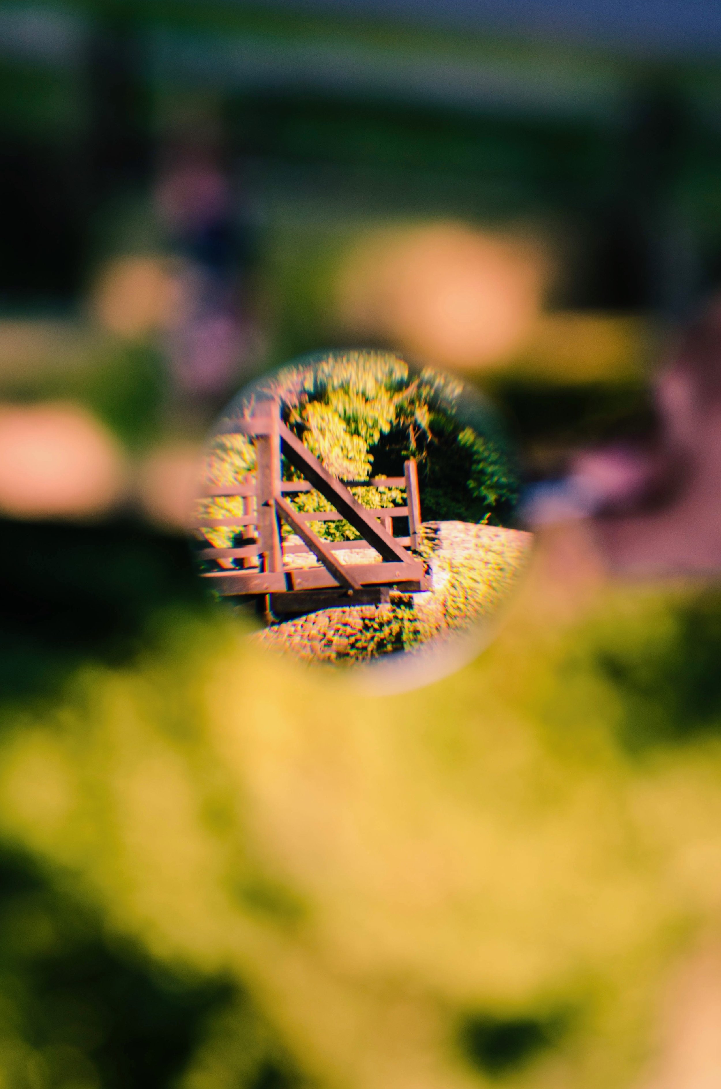 FullSizeRender.jpeg