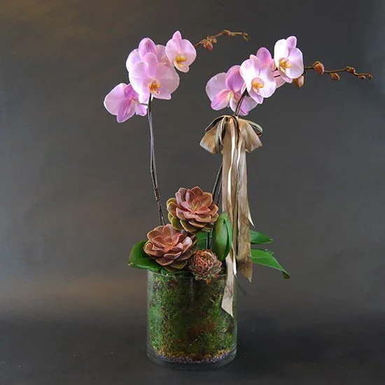 A Few Butterflies.jpeg