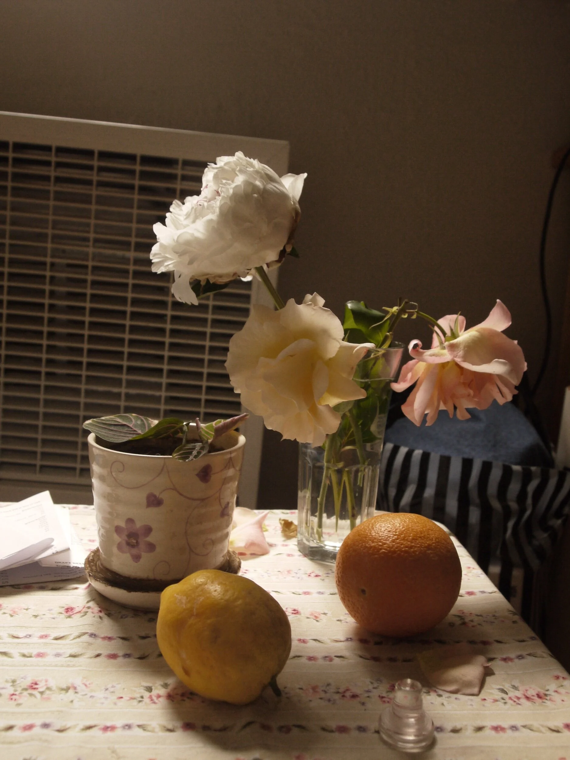_1160845.jpg