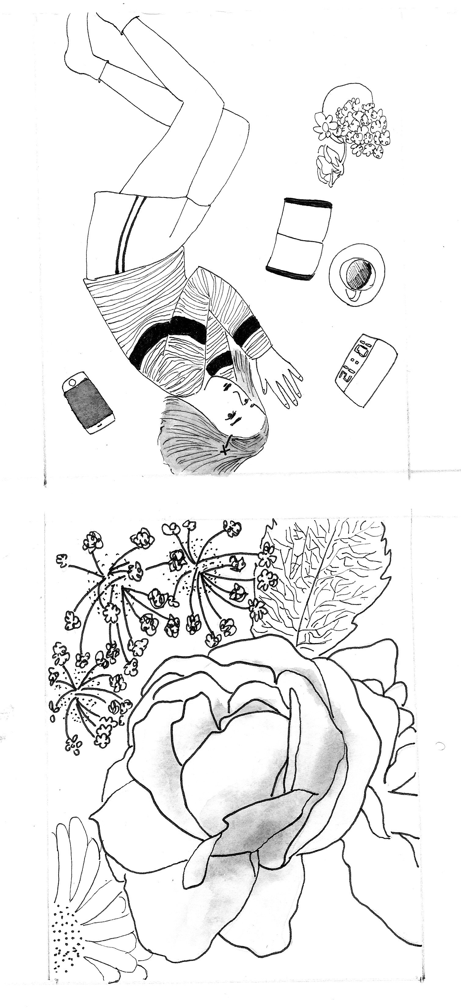 scale of purpose 1.jpeg