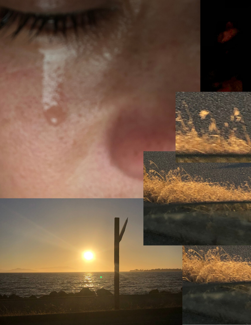 D05E5C97-8DD0-4897-BE18-D5CD995E04C5.png