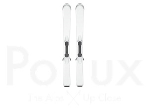 Pollux