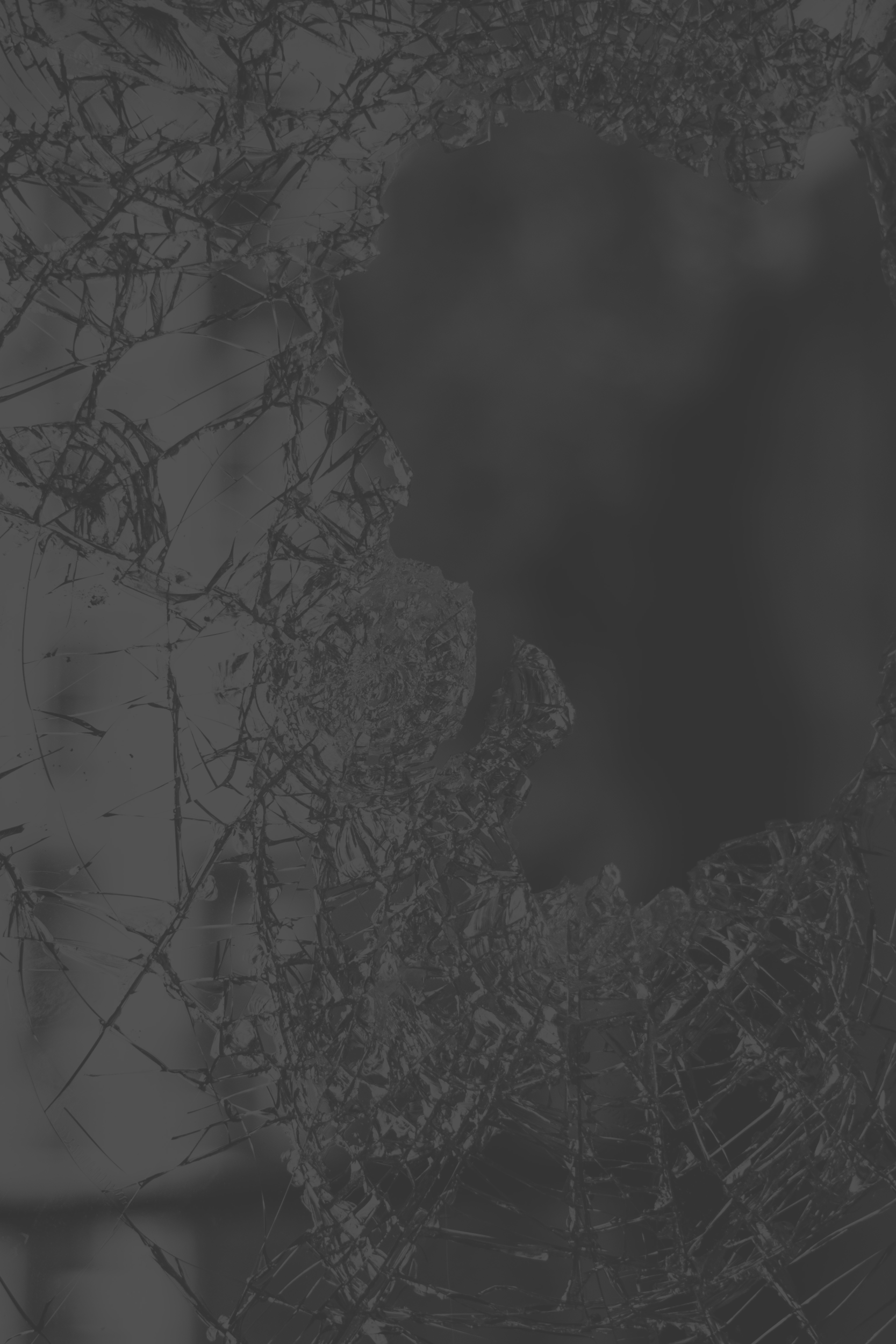 pvecnabag9o-jilbert-ebrahimi2.png