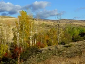 land-trust-hidden-springs.jpg