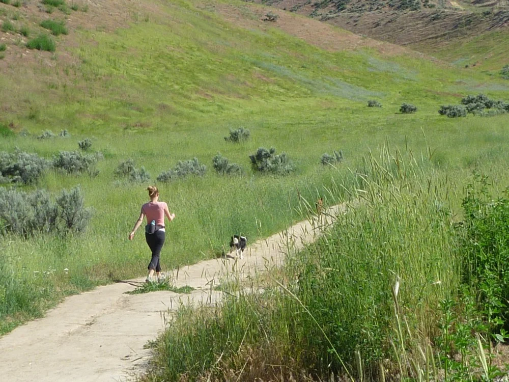 land-trust-upper-dry-creek-walk.jpg
