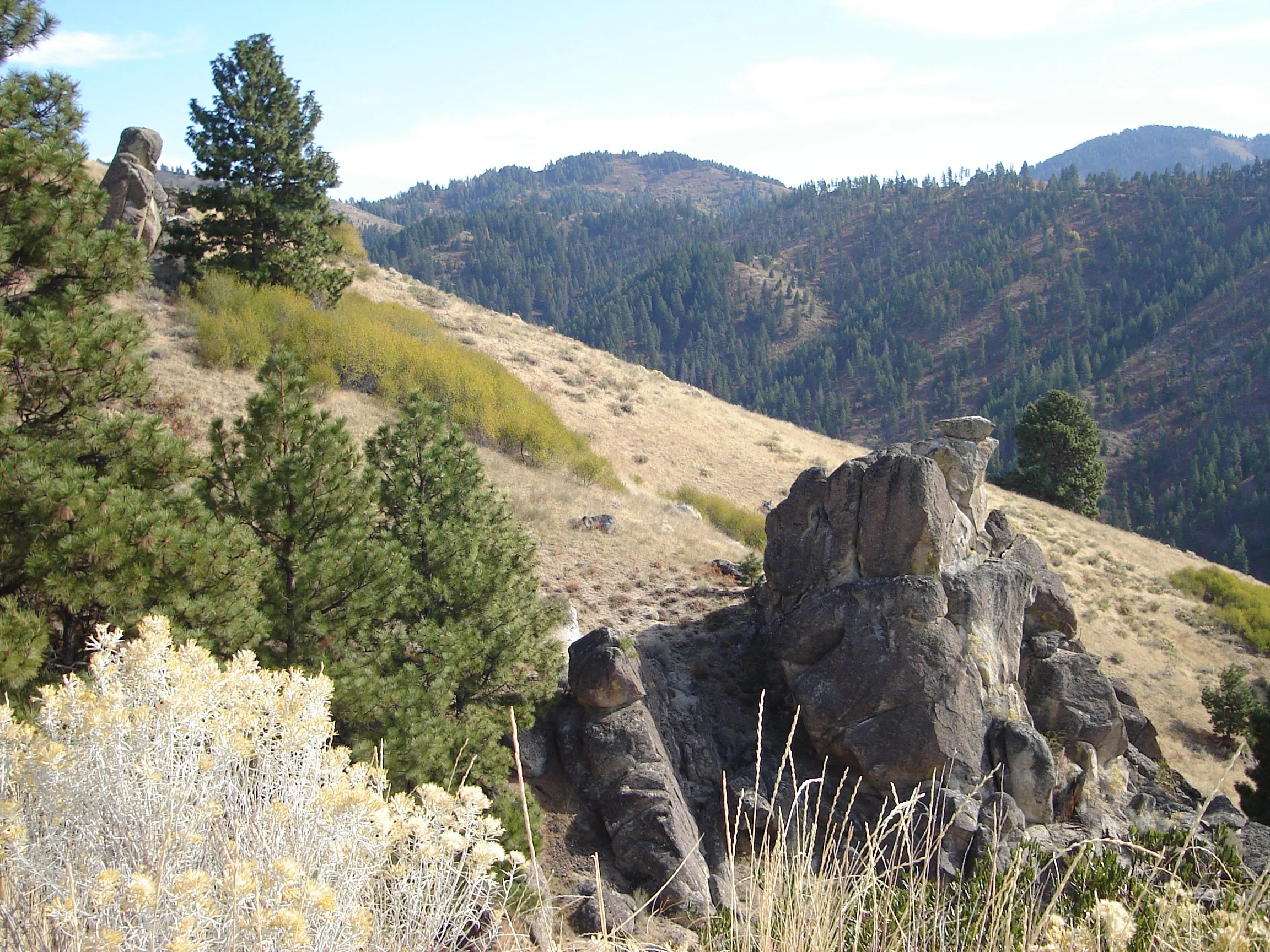 Drycreekfall08 024.jpg