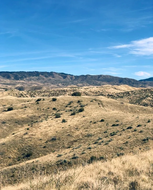 Ridge views from CR.jpg