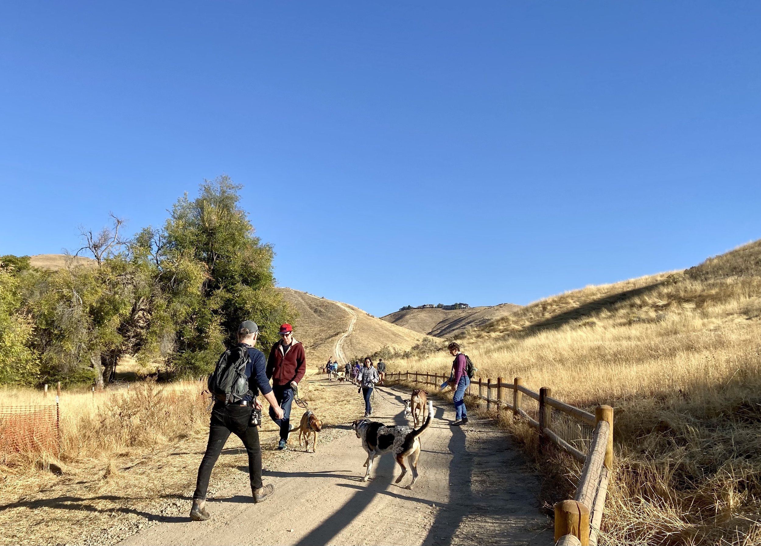 Trail Etiquette 101 for Dogs & Owners