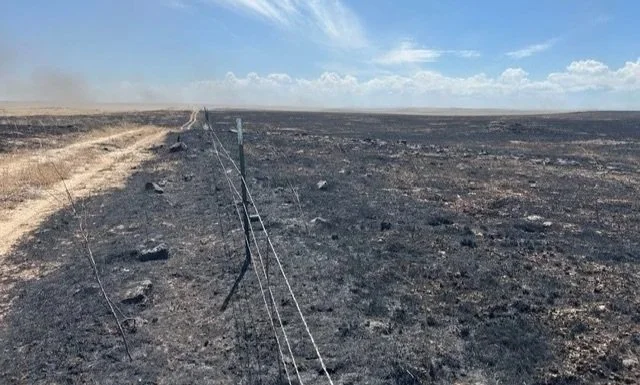 Restoring Rangelands After the 2025 Range Fire