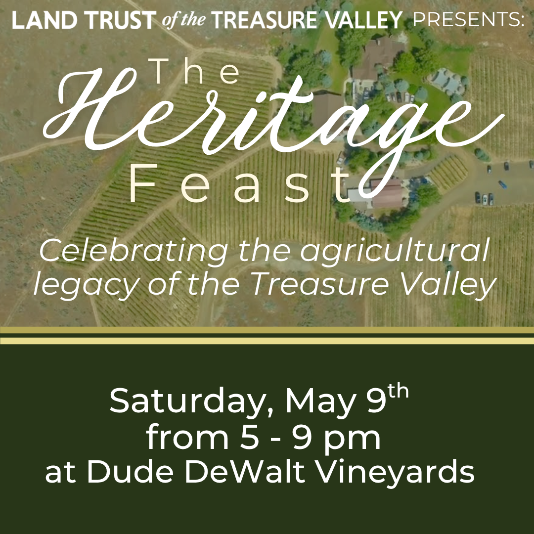 The Heritage Feast '26