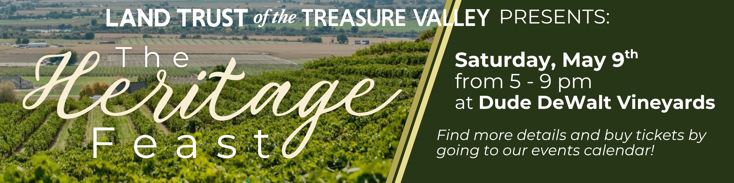 WebsiteGalleryFrontPage (1200 x 300 px)(2).png