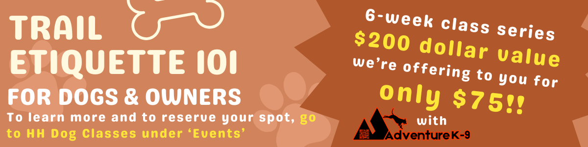 WebsiteGalleryFrontPage (1200 x 300 px)(4).png