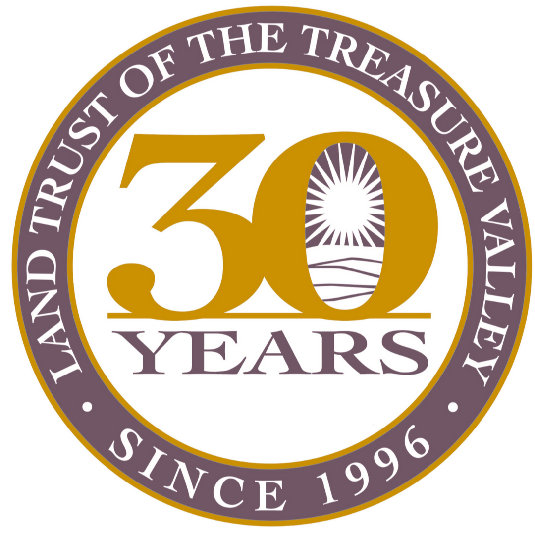 LTTV's 30th BIRTHDAY PARTY!!!