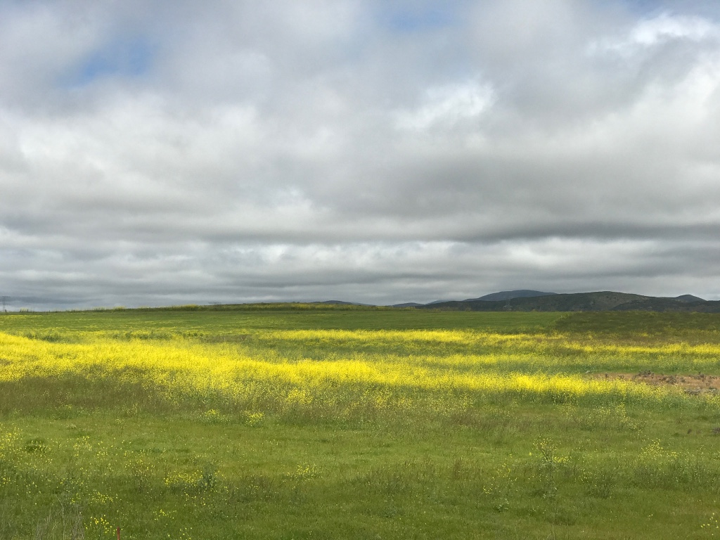 Natural beauty as far as the eye can see.
