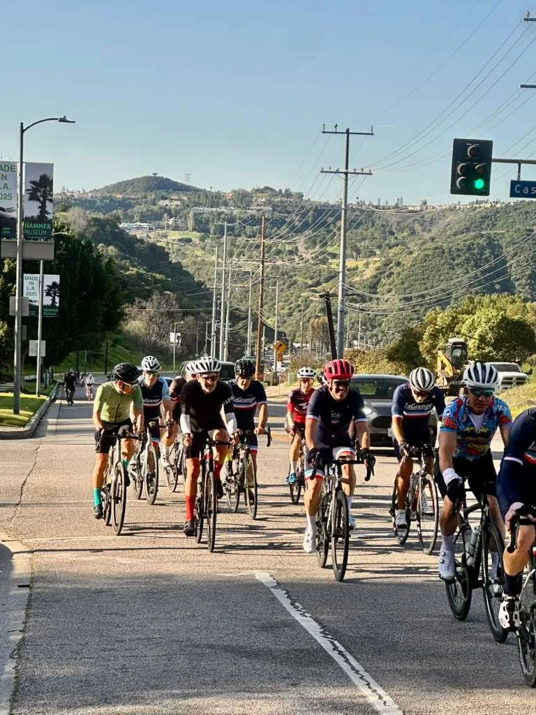 WhatsApp Image 2026-01-31 at 15.19.58.jpeg