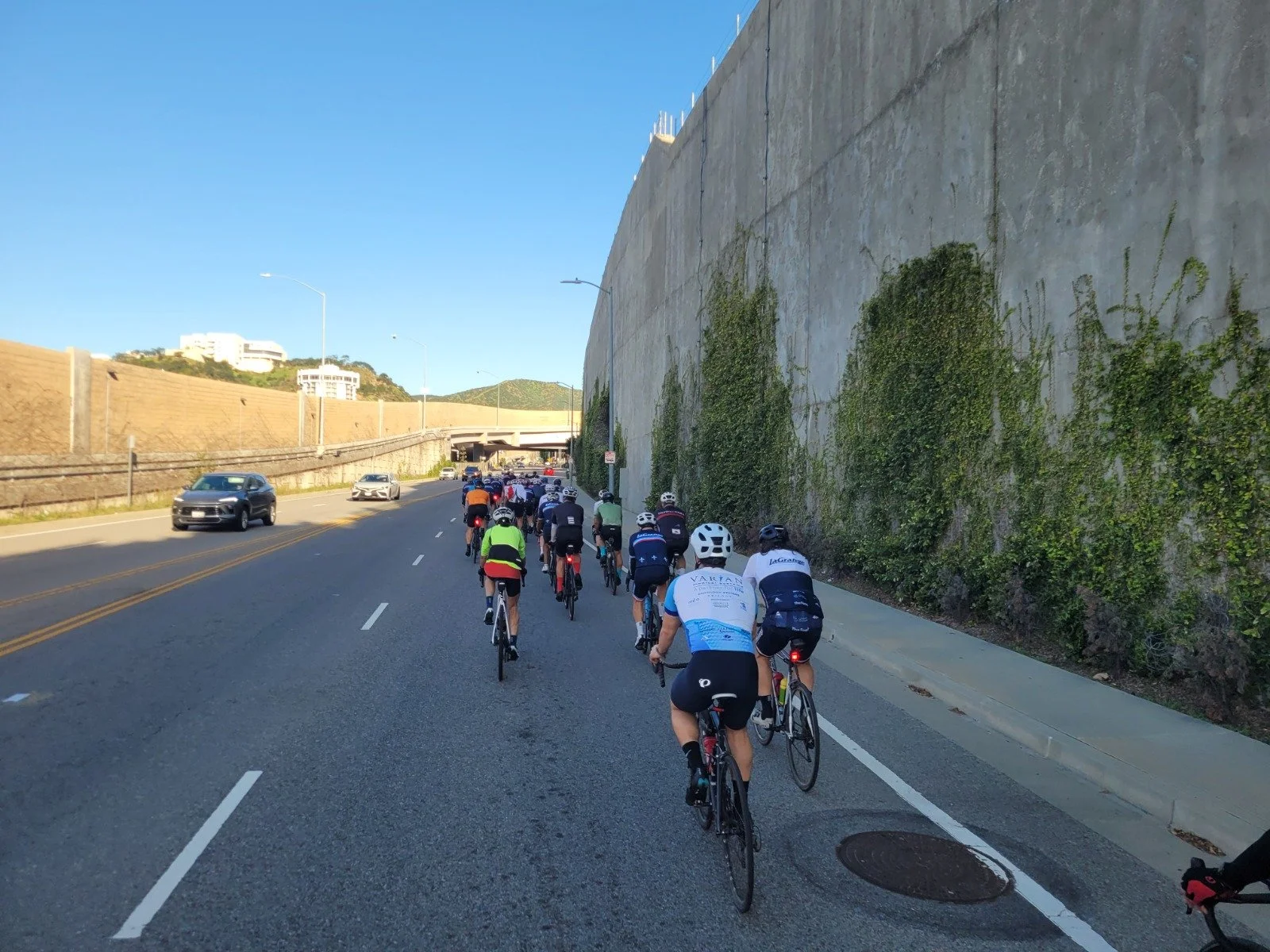 WhatsApp Image 2026-01-31 at 15.27.34.jpeg