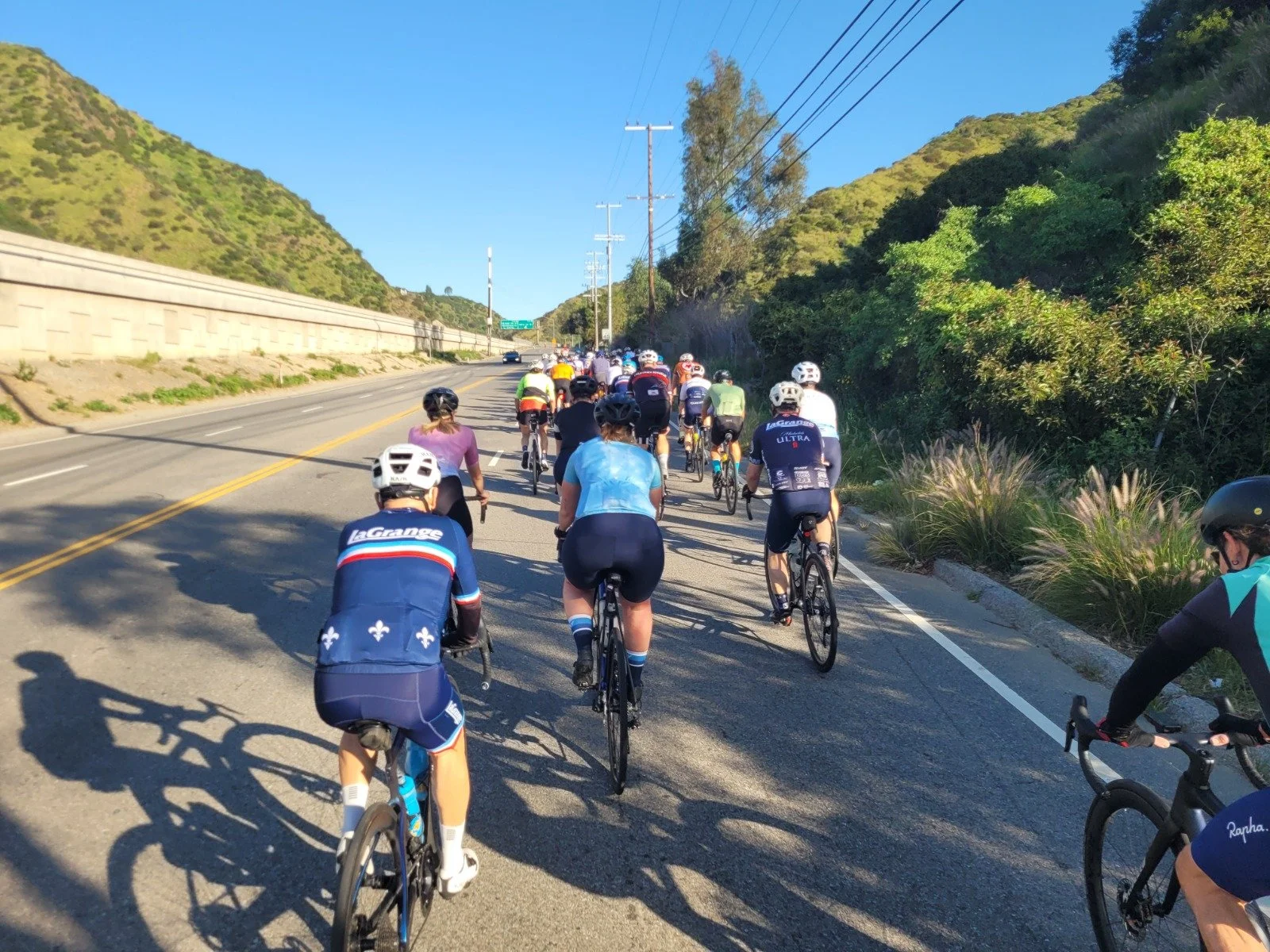 WhatsApp Image 2026-01-31 at 15.27.38.jpeg