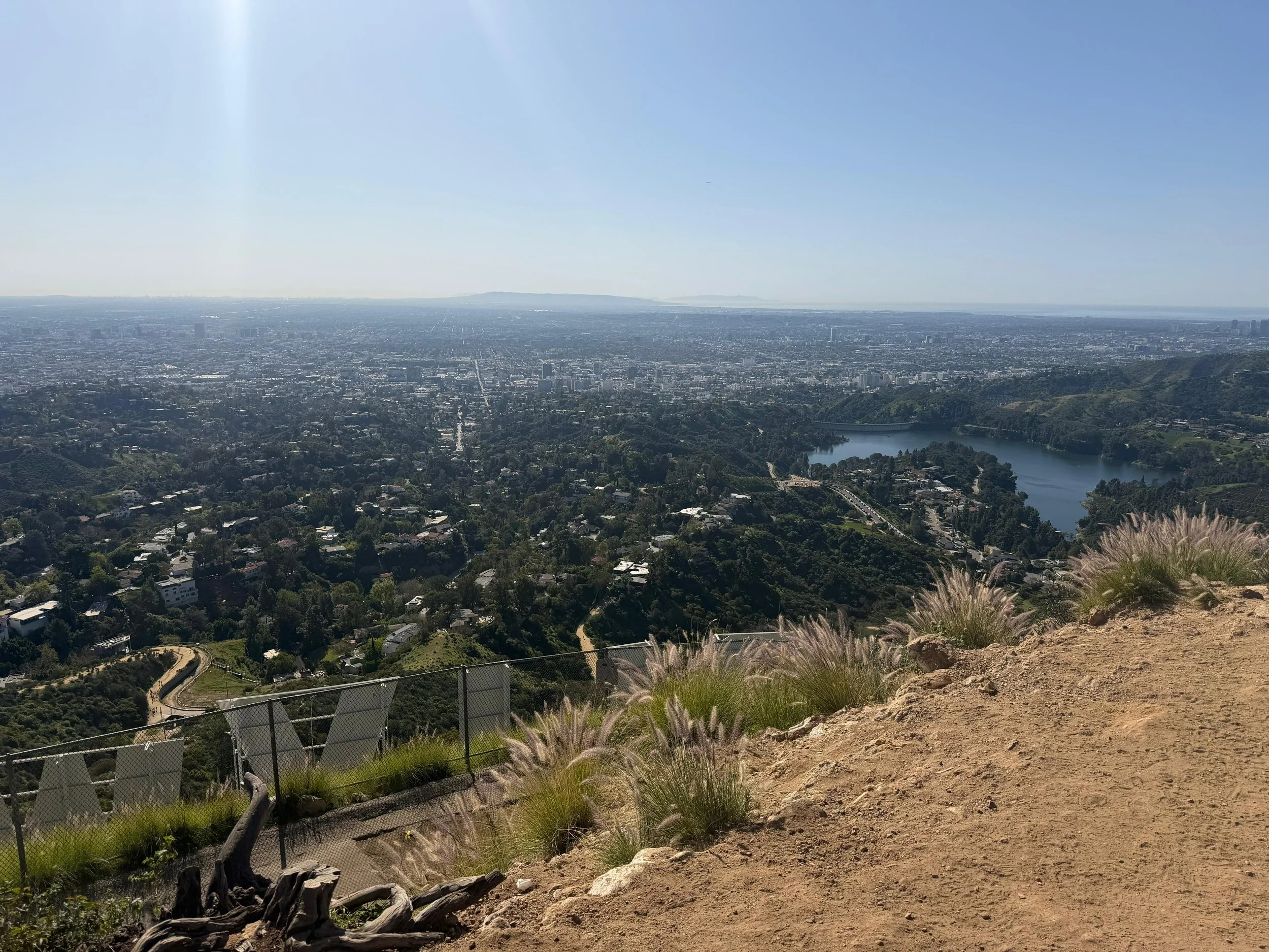 WhatsApp Image 2026-01-31 at 19.03.28 (1).jpeg