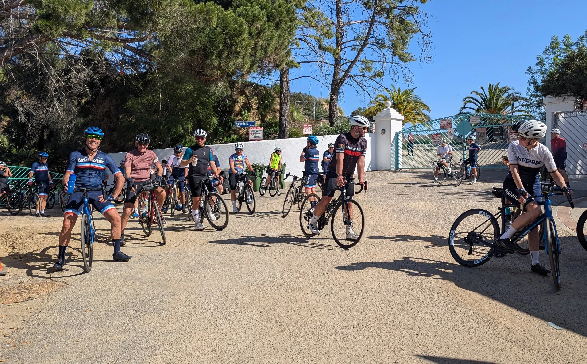 WhatsApp Image 2026-01-31 at 21.54.53.jpeg