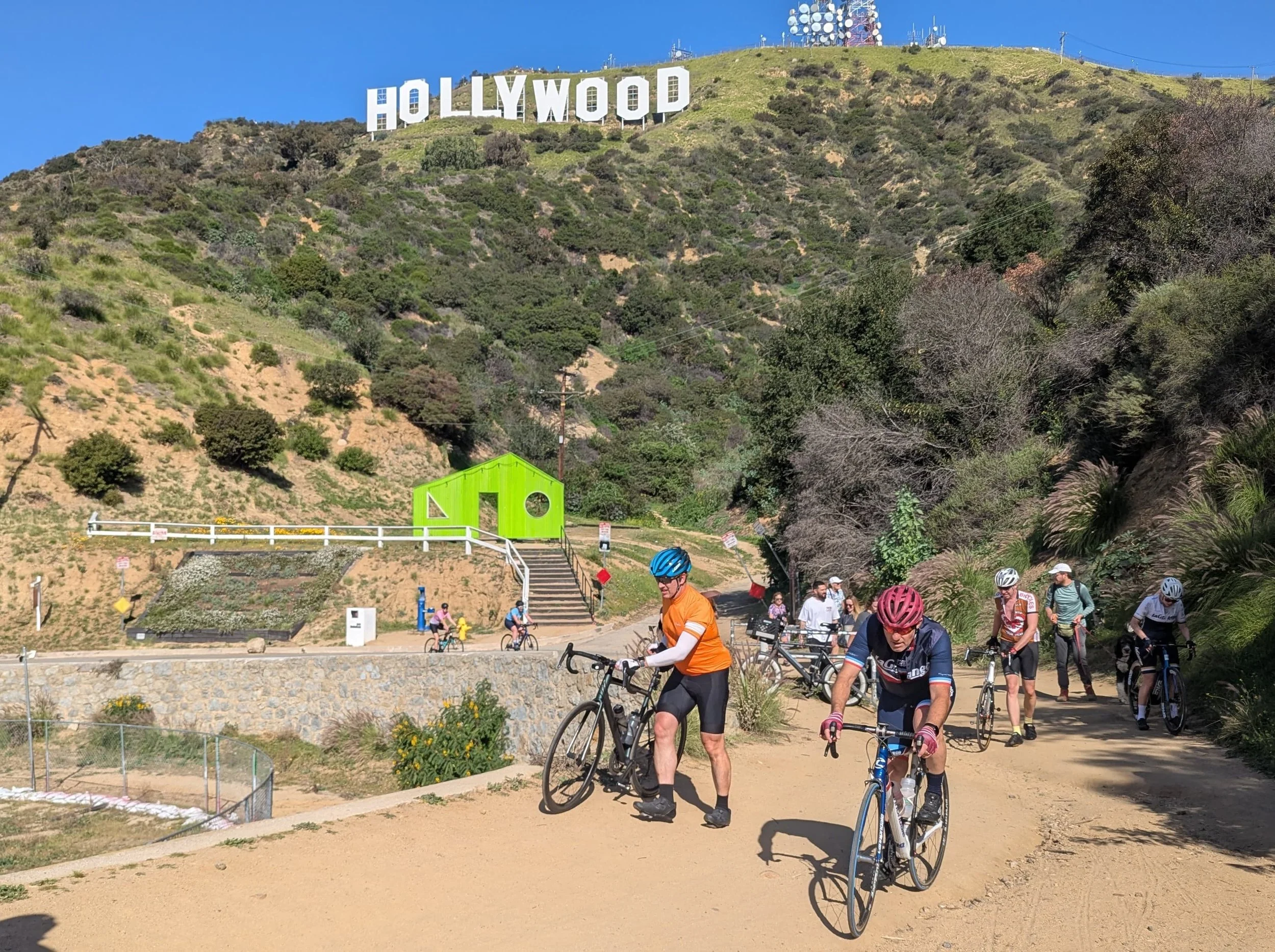 WhatsApp Image 2026-01-31 at 21.54.54 (1).jpeg