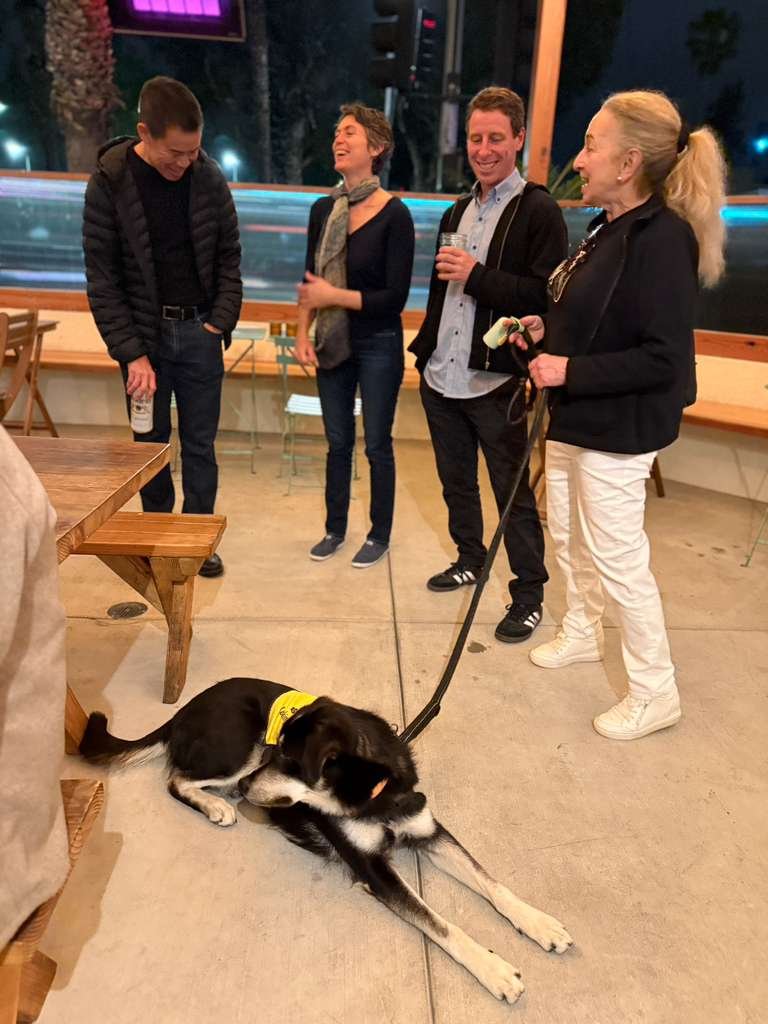 WhatsApp Image 2026-03-26 at 15.38.10 (1).jpeg