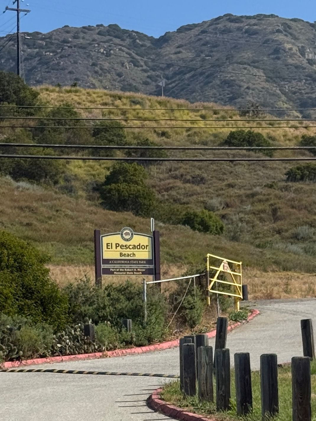 WhatsApp Image 2026-03-28 at 17.52.32.jpeg