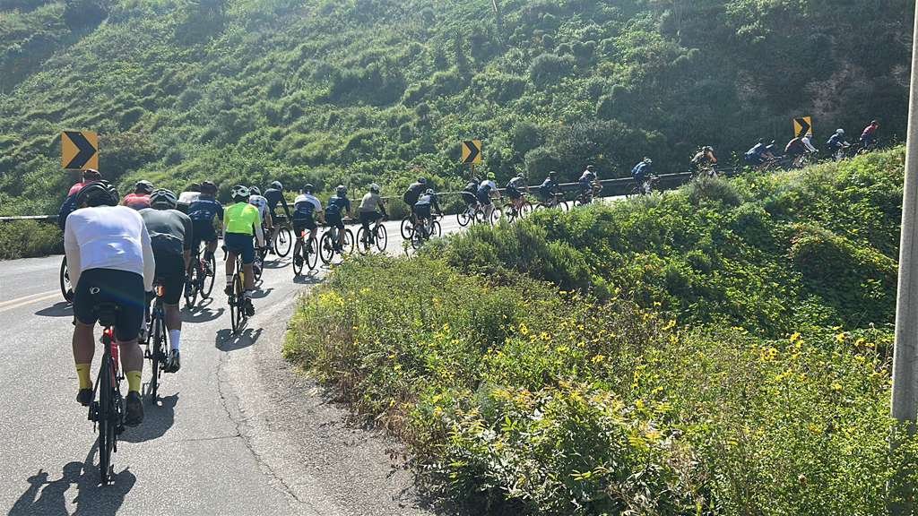 WhatsApp Image 2026-03-29 at 07.28.58.jpeg